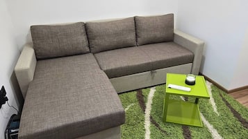 Apartment, 1 Bedroom, City View | Living room
