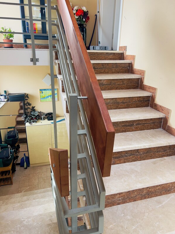 A staircase with a wooden handrail and beige steps.