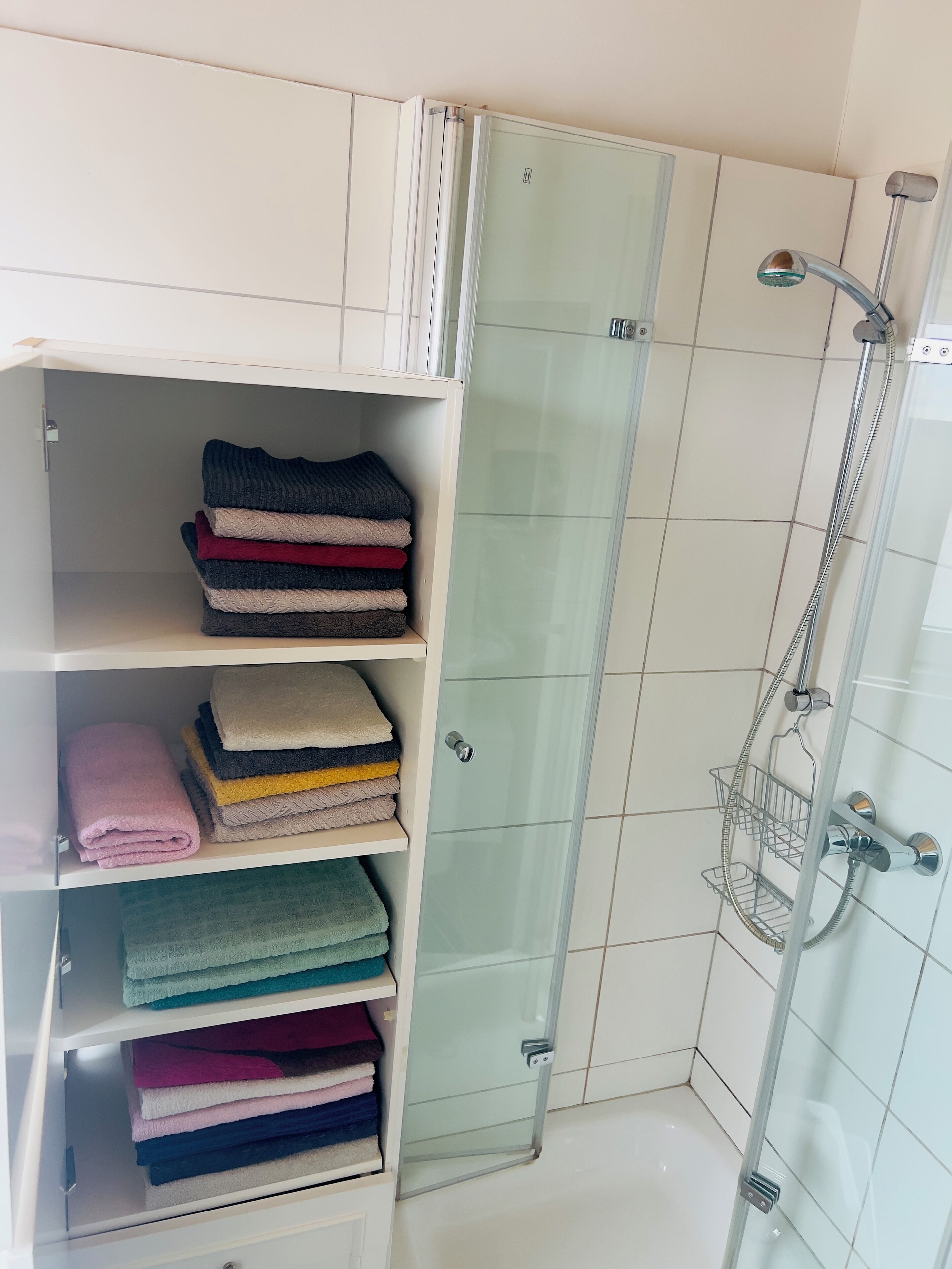 Shower, towels, toilet paper