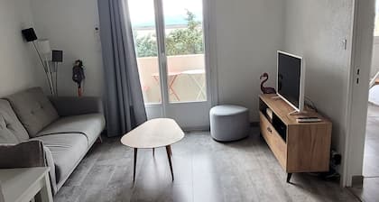 40m2 apartment with lake and Canigou views.