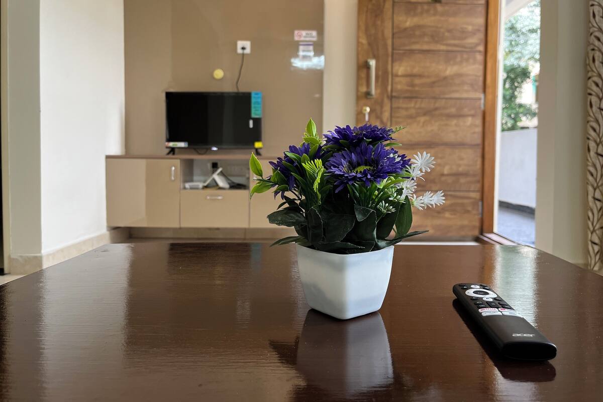 Une table en bois, sur laquelle se trouvent un pot de plante et une télécommande.