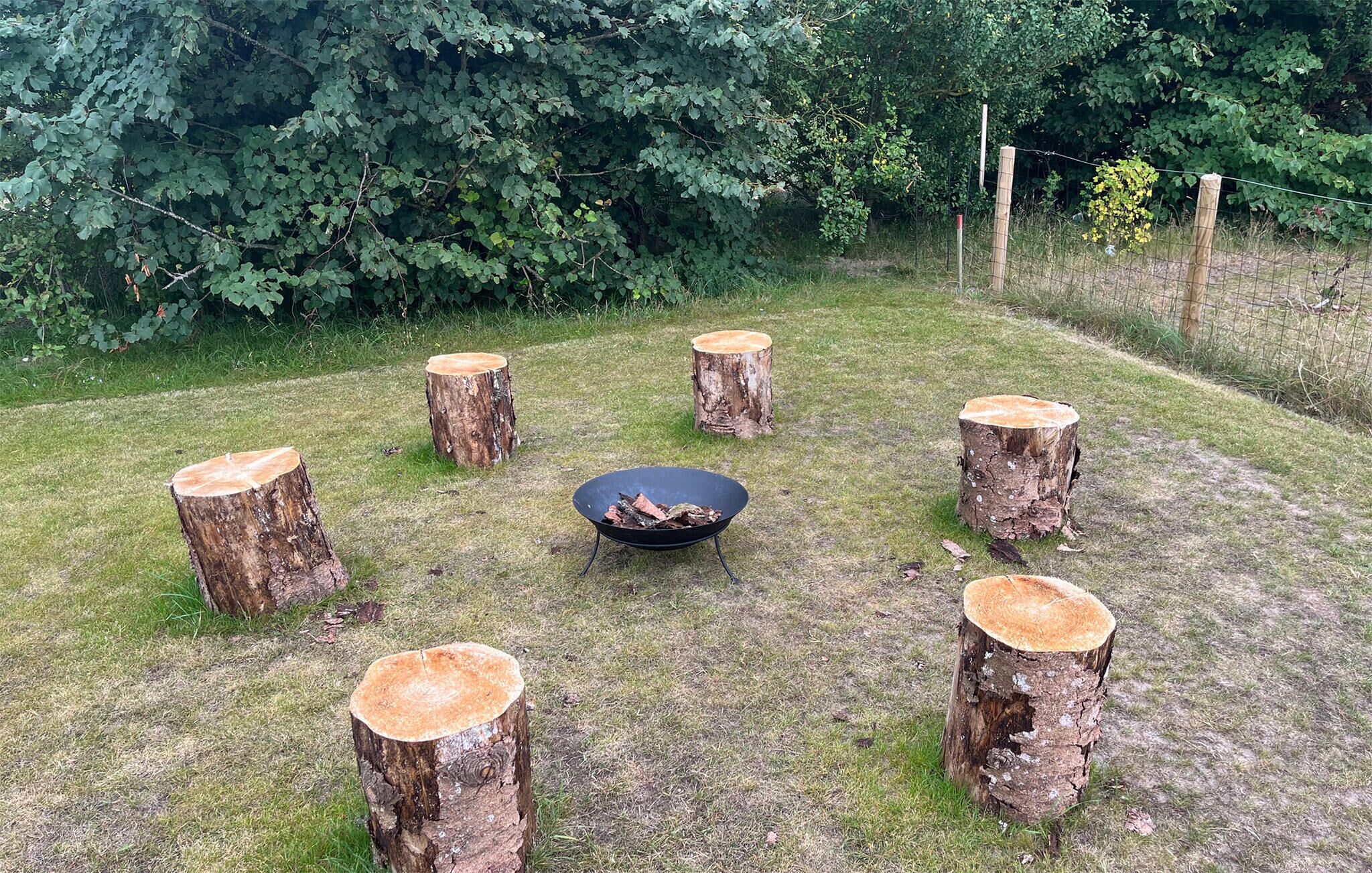 Sechs Baumstümpfe sind kreisförmig angeordnet, mit einer Feuerstelle in der Mitte. Eine grüne Fläche mit dichtem Laubwerk im Hintergrund.