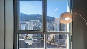浪漫公寓客房, 1 張標準雙人床和 1 張沙發床, 非吸煙房 | 客房景觀