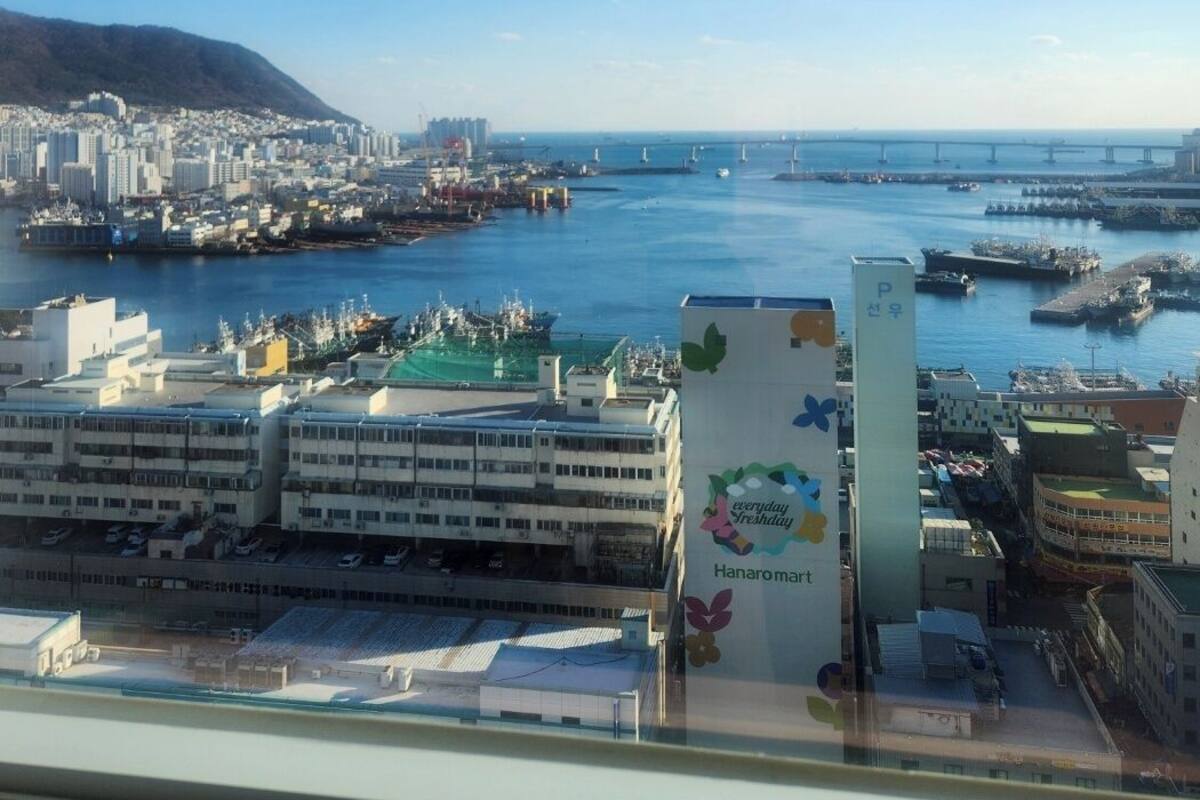 A coastal cityscape with a marina, buildings, and a clear blue sky.