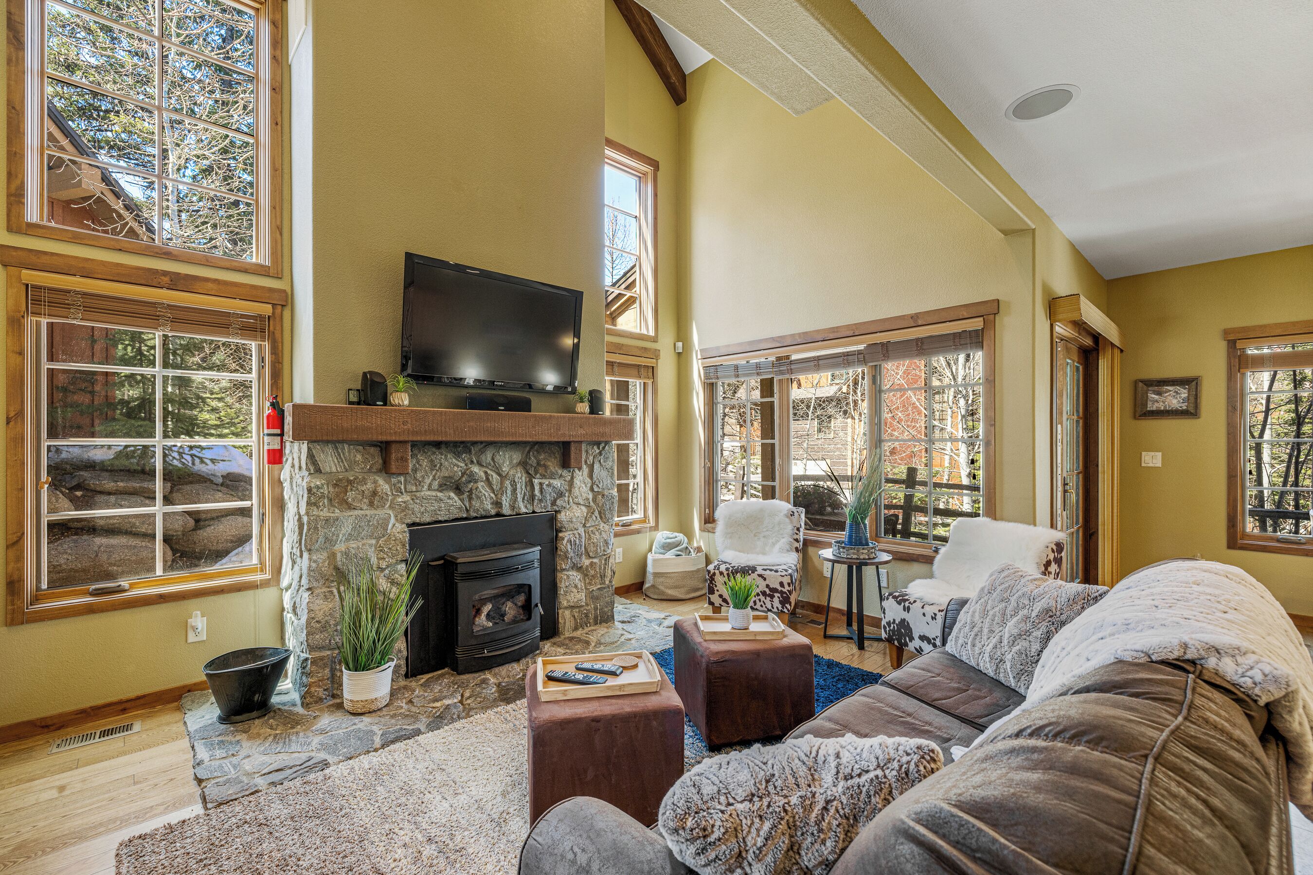 Smart TV, fireplace, books