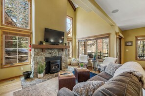 Smart TV, fireplace, books