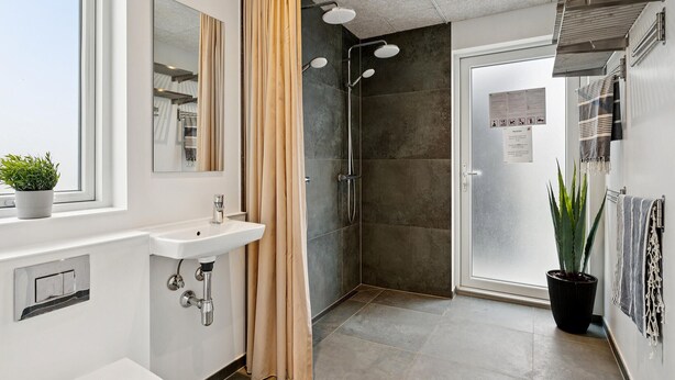 A modern bathroom with a shower, sink, and a potted plant.
