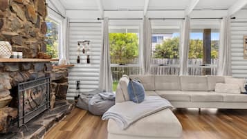 Una televisión, una chimenea