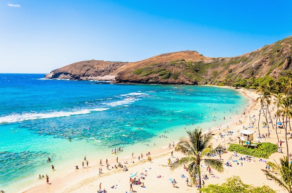 Una playa cerca
