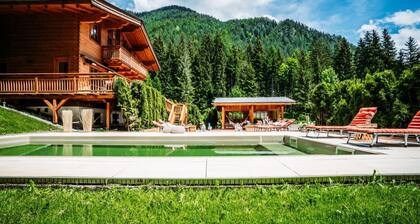 Chalet in Tyrol Near Ski-area