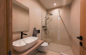 Shower, hair dryer