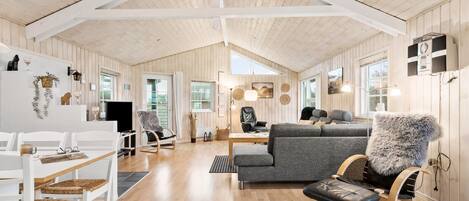 TV, fireplace, DVD player