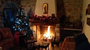 Ein gemütliches Wohnzimmer mit Kamin, Weihnachtsbaum und einer Steinwand.