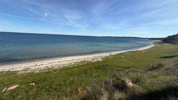 A coastal landscape with a clear sky, a sandy beach, and grassy areas.