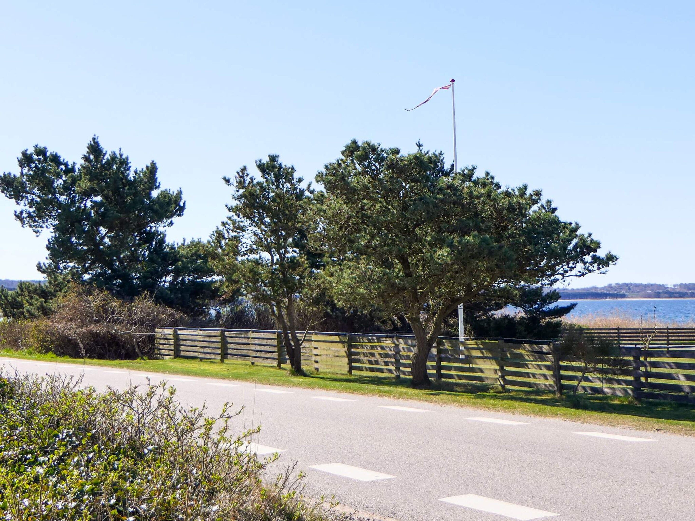 A road with a wooden fence and trees on the side.