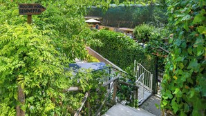 A wooden signpost with 'Holiday House Genoveffa' written on it, surrounded by lush greenery and a metal staircase leading down. - Holiday House Genoveffa (Massa Lubrense)