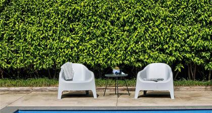 Poolside Studio Near Pukekura Park