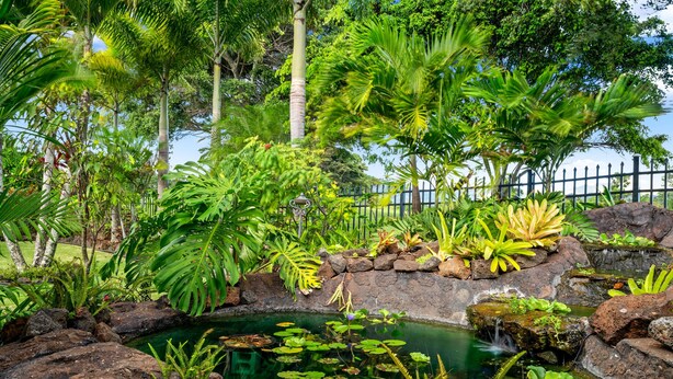 A tropical garden with a pond, rocks, and various plants. - Kauai Wainani Villa 2 Bedroom Home (Koloa)