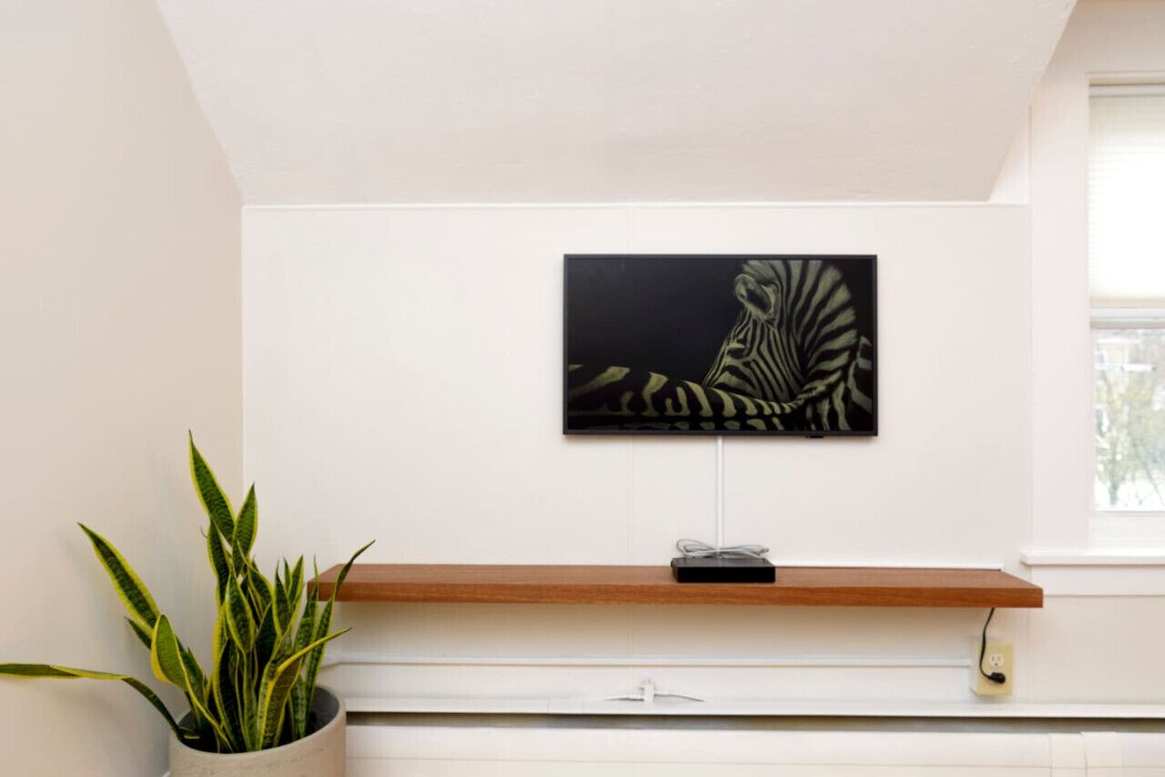 Une œuvre d’art représentant un zèbre, accrochée au mur, une étagère en bois en dessous et une plante en pot sur la gauche.