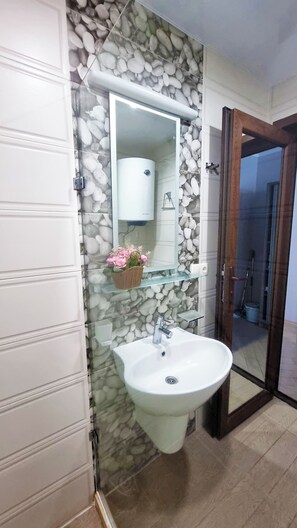 Shower, hair dryer, soap, toilet paper