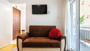 Fernseher, Arbeitsbereiche