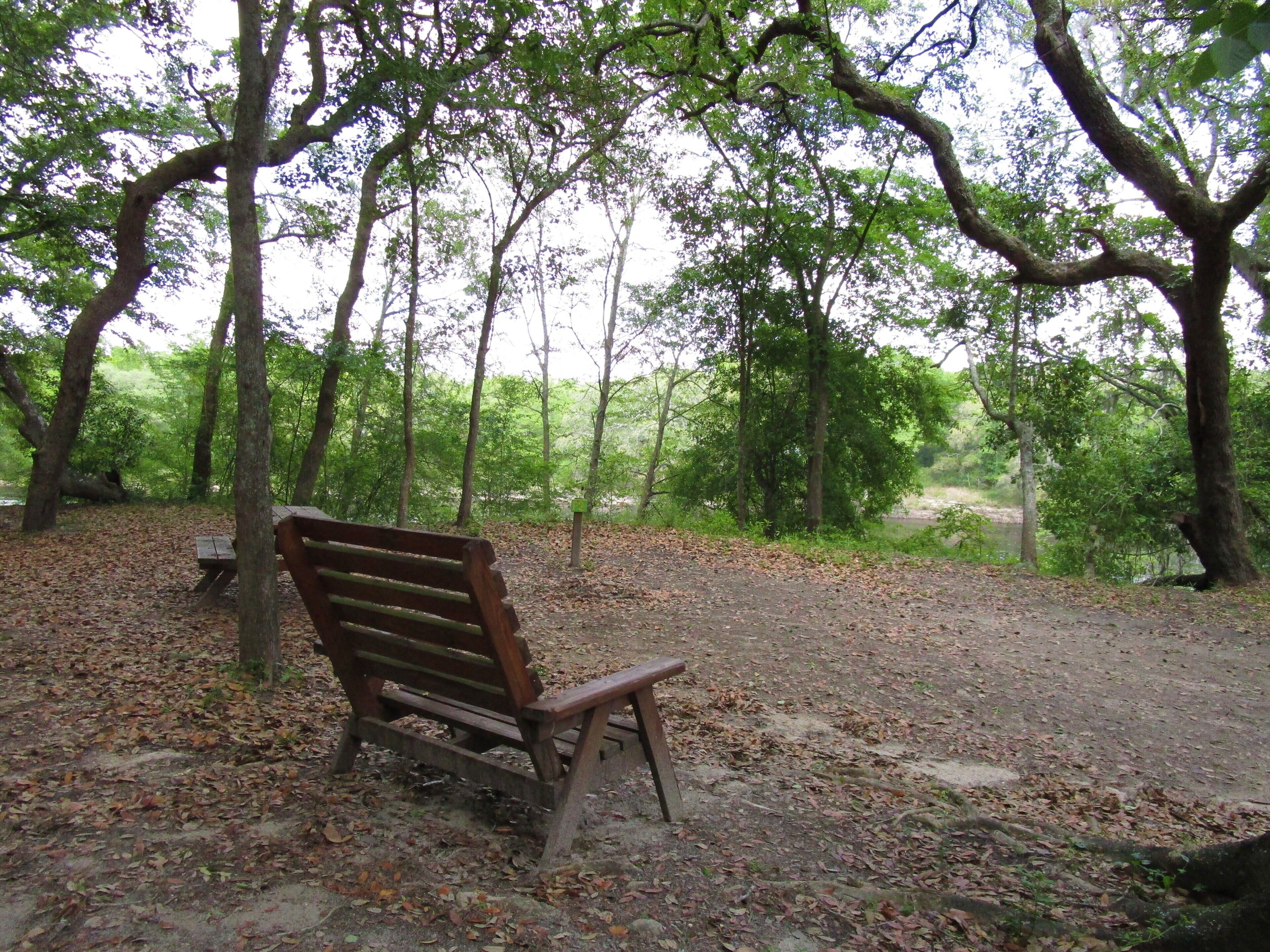 A wooden bench in a wooded area with a dirt path and trees.