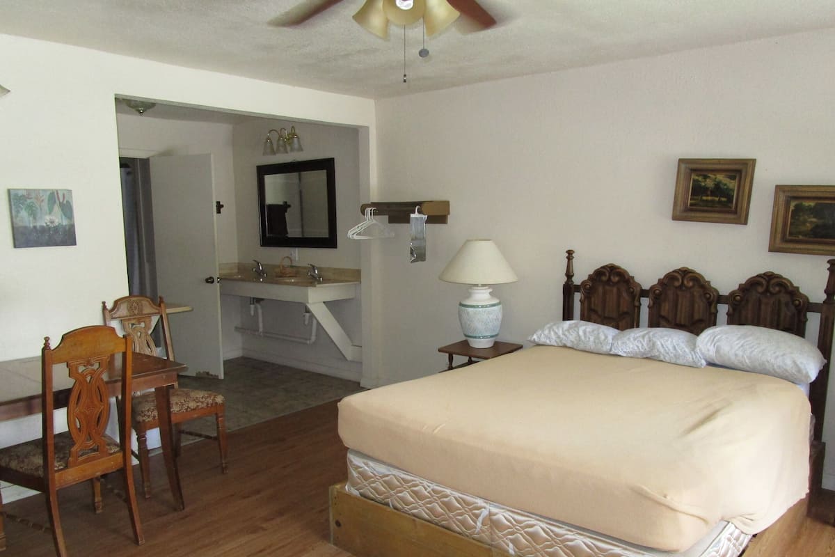A bedroom with a wooden bed, a nightstand with a lamp, a wooden chair, a bathroom with a sink and mirror, and a ceiling fan.