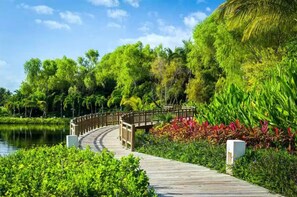 Property grounds - Elite Christmas Week in Luxurious 3200 sf Grand Luxxe Villa Ocean View and Beach (Las Jarretaderas)