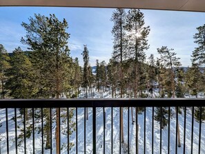 Property grounds - Bright & Modern Condo w/ Pool& Hot Tub + Shuttle (Keystone)