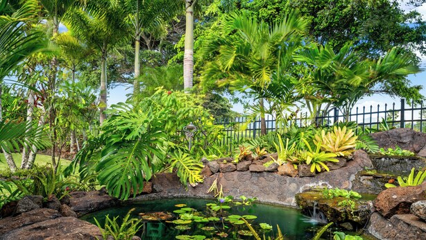 A tropical garden with a pond, lush greenery, and a stone wall. - Poipu golf course villa with private lanai and fire pit summer deals (Koloa)