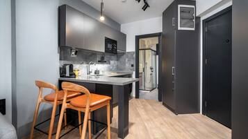 Standard Apartment | Private kitchen | Fridge, microwave, stovetop, dishwasher