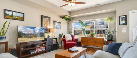 Smart TV, books, offices, computer monitors