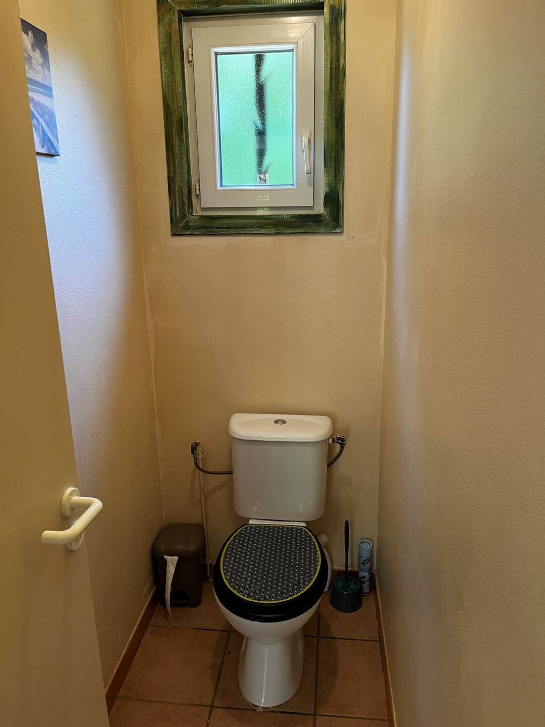 A small bathroom with a toilet, a window, and a handrail.