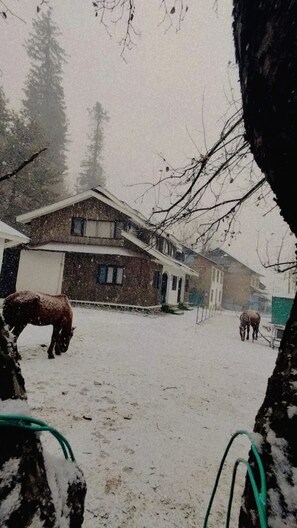 A snowy scene with a building and two horses. - WATERFRONT PINE PAHALGAM (Anantnag)