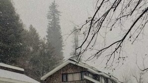 A snow-covered landscape with a building and a horse. - WATERFRONT PINE PAHALGAM (Anantnag)