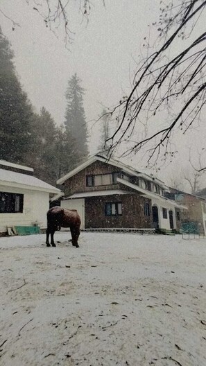 Exterior - WATERFRONT PINE PAHALGAM (Anantnag)
