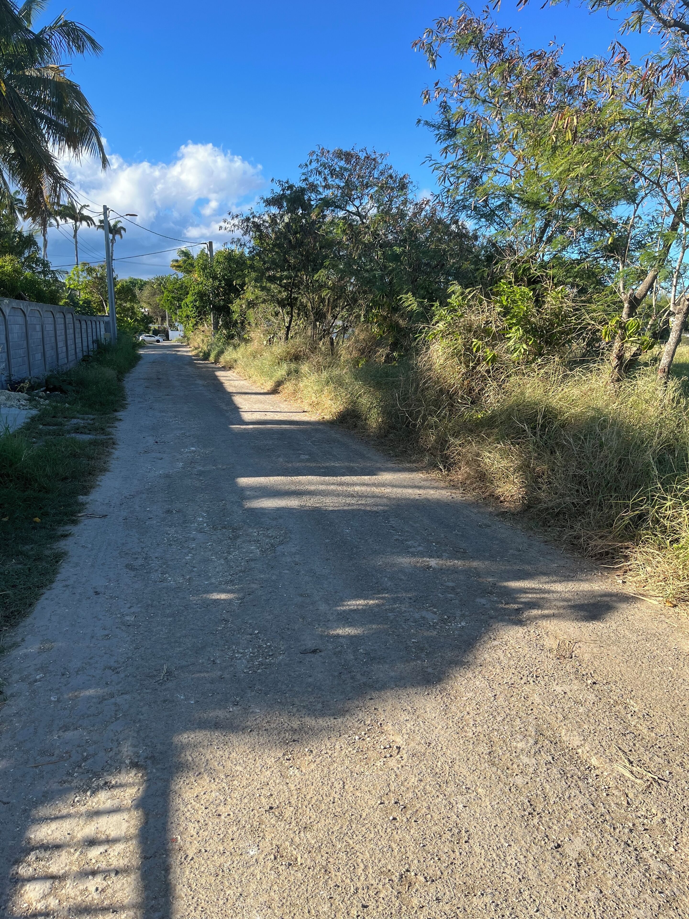 A gravel path flanked by trees and a concrete wall.