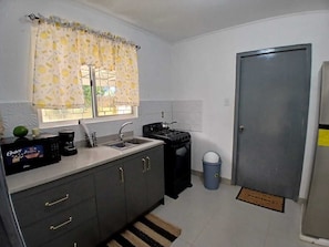 Fridge, microwave, oven, coffee/tea maker