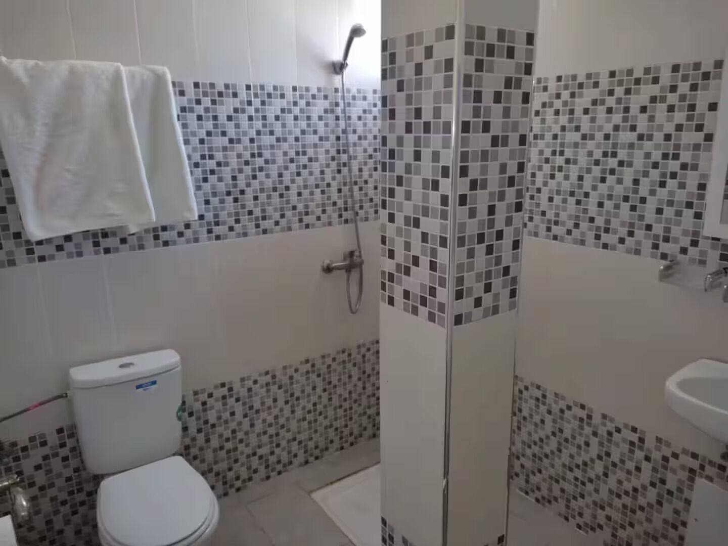 Shower, towels, soap, toilet paper