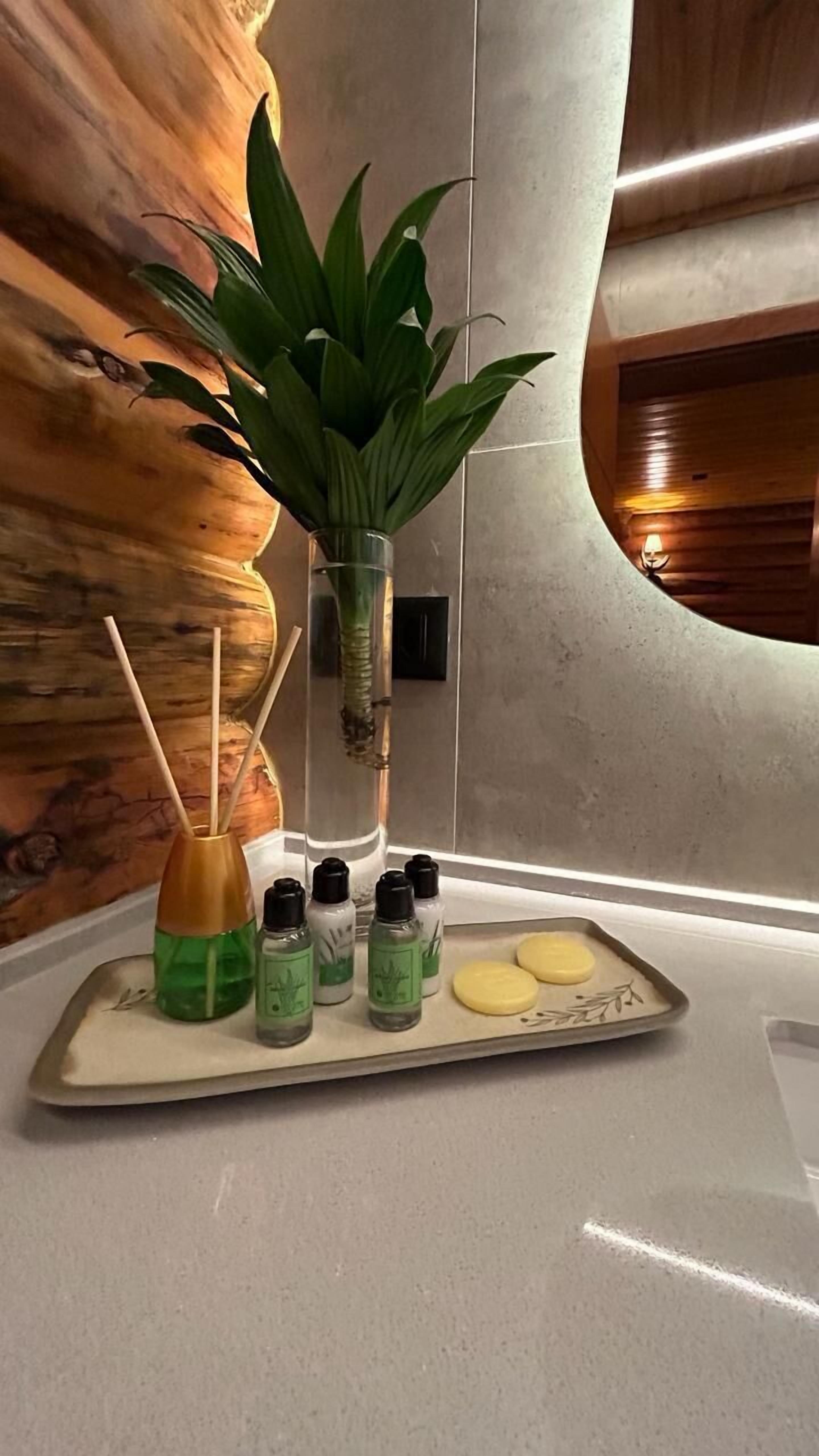 A tray with various toiletries on a countertop, a potted plant, and a wall with a wooden texture.