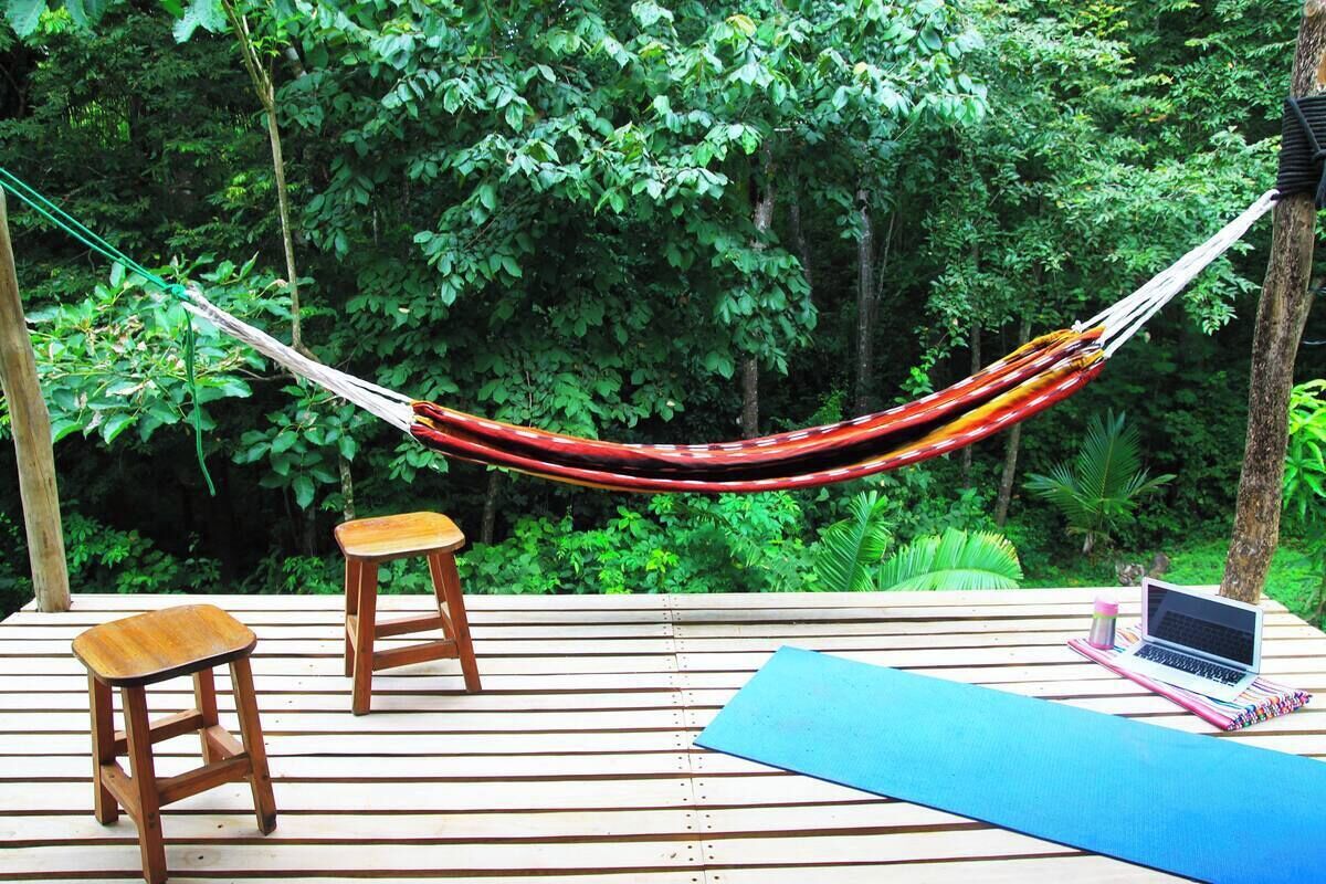 A hammock suspended between trees, wooden stools, and a laptop on a wooden deck surrounded by dense greenery.