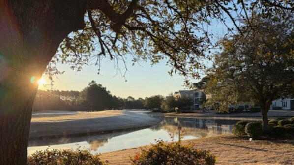 A serene lakeside view with a tree in the foreground, a clear sky, and a building in the background.