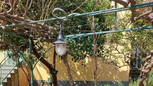An outdoor patio with a round table covered by a floral tablecloth, surrounded by green metal chairs. - Casa Annalù With Garden Wifi Bogliasco (Bogliasco)