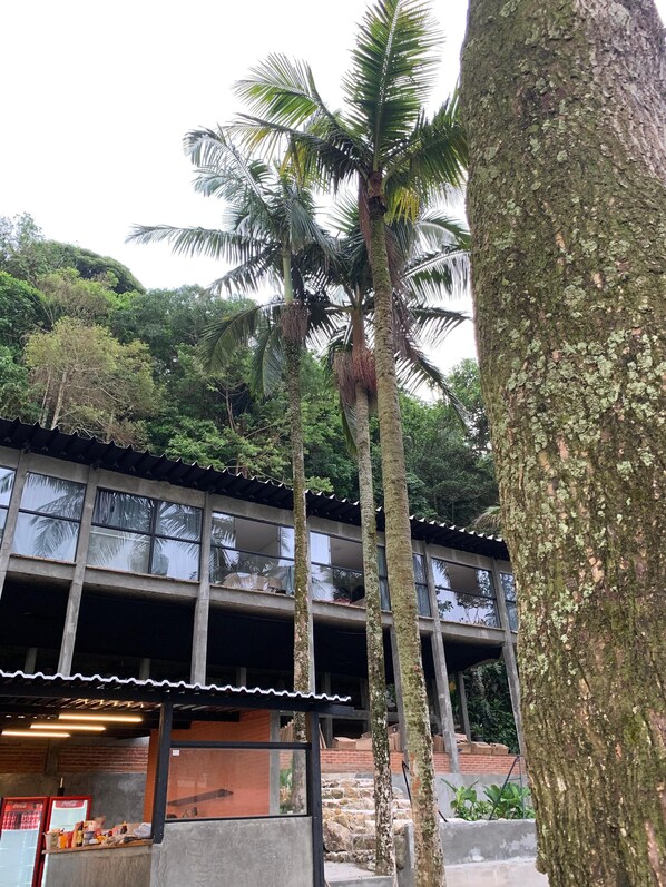 A building with a balcony, surrounded by tall trees and lush greenery.