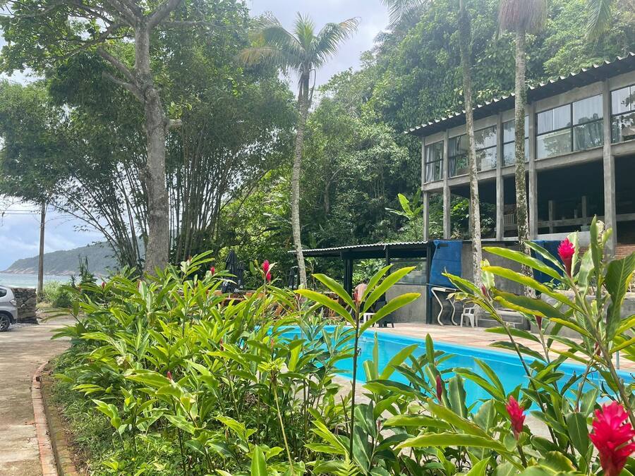 Un área de piscina con abundante vegetación y un edificio al fondo.