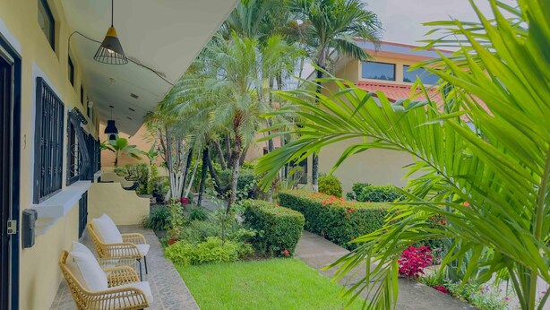 A courtyard with a paved walkway, wicker chairs, and a variety of plants and flowers.