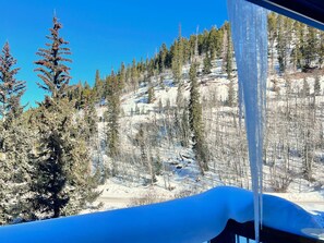 Property grounds - Baldy Mountain Basecamp - Pet Friendly! - Free Shuttle Access (Breckenridge)