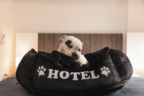 Animaux de compagnie acceptés