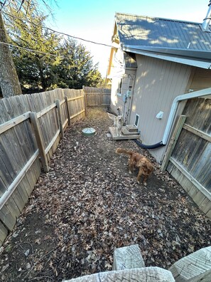Een omheinde achtertuin met een hond, een houten terras en een tuinhuis.