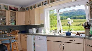 Four, plaque de cuisson, bouilloire électrique, grille-pain